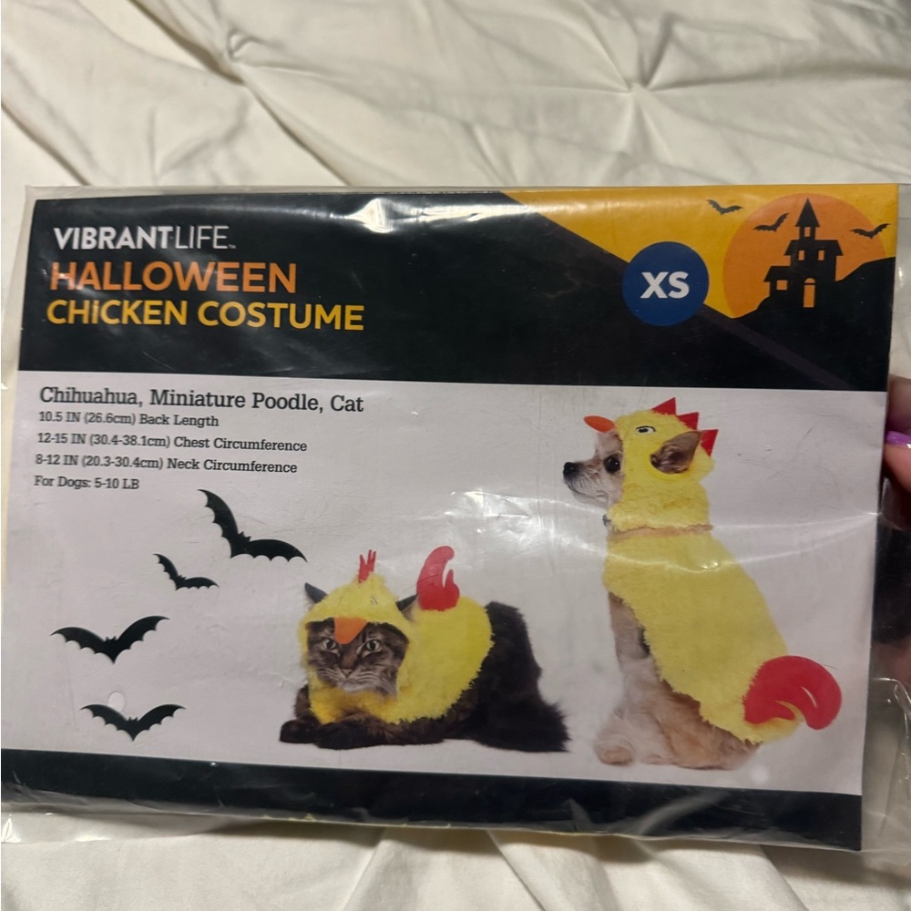 Cat/Dog chicken Halloween costume